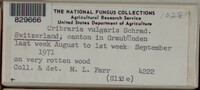 Image Associated With the Occurence